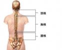 骨密度测量仪讲述脊椎疼痛的原因